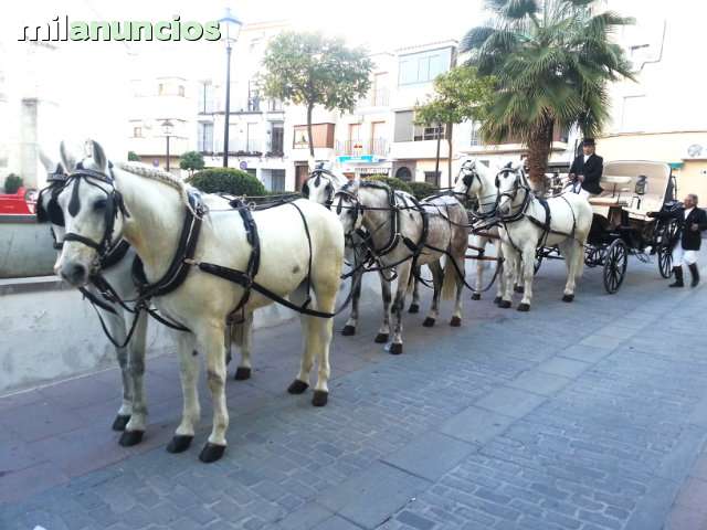 Mil Anuncios Com Coche De Caballos Para Boda Comunione