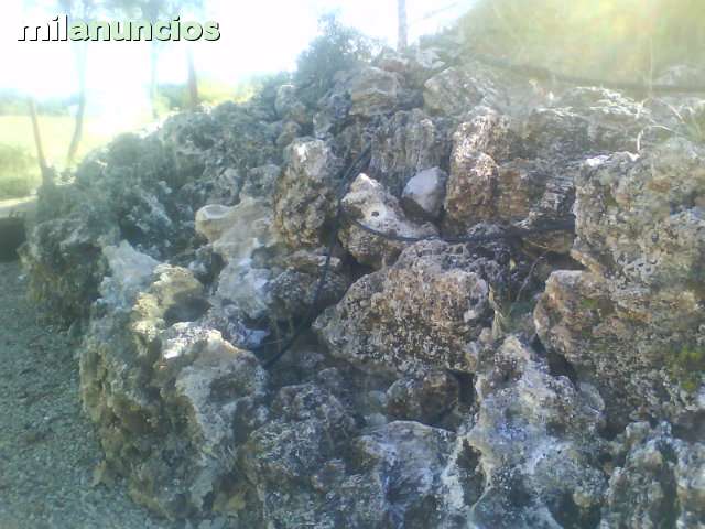 Piedra de rocalla