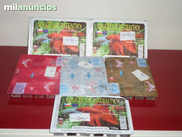 MIL ANUNCIOS.COM - Larvas rojas de mosquito