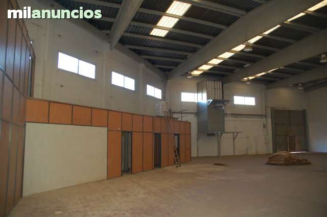 MIL ANUNCIOS.COM - Alaquas en Alaquas