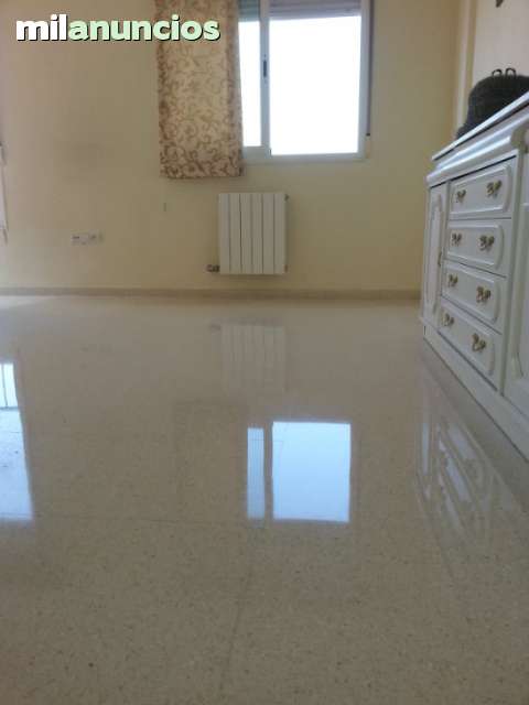 MIL ANUNCIOS.COM - Pulidor y Abrillantador