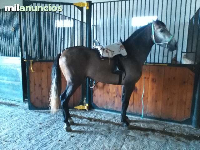 mil anuncio madrid contacto dos hermanas mil anuncio madrid contacto dos hermanas