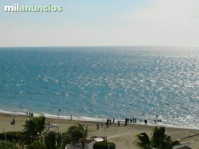 Get Apartamentos de un dormitorio en la playa de virginia Free HD