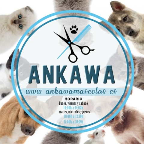 com Anuncios Regalo De Y Venta Mil CaninaCompra Mesa Peluqueria EYWDH9I2
