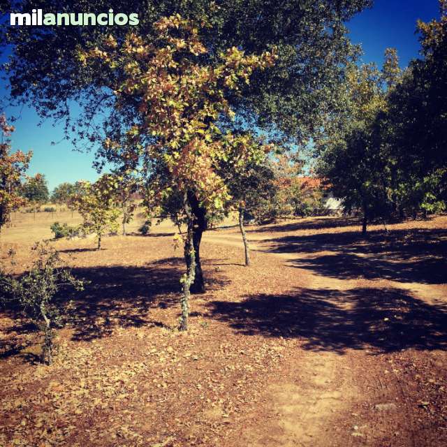MIL ANUNCIOS.COM - Finca de recreo en el embalse de Almendr Embalse de