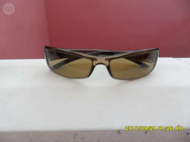 lentes polo sport