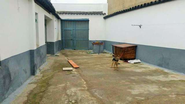 MIL ANUNCIOS.COM - Casa con patio en Mora