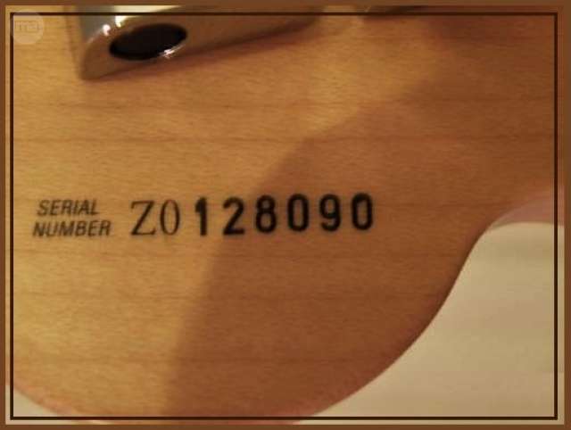 fender serial number