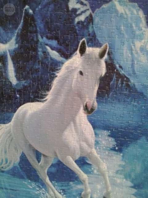 puzzles de caballos