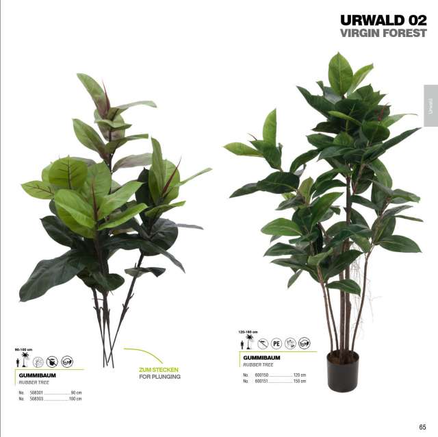 Mil Anuncios Com Arbol Caucho