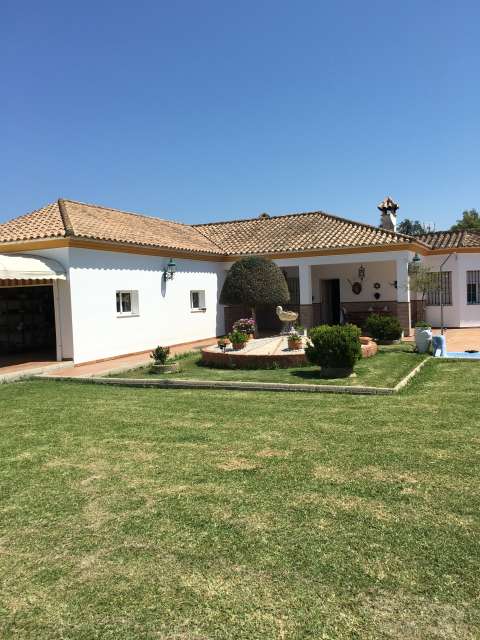 MIL ANUNCIOS.COM - el santiscal Pintor en Arcos de la Frontera