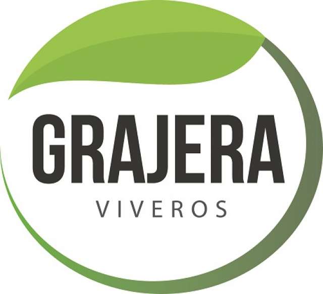 MIL ANUNCIOS.COM - Vivero plantas arandanos