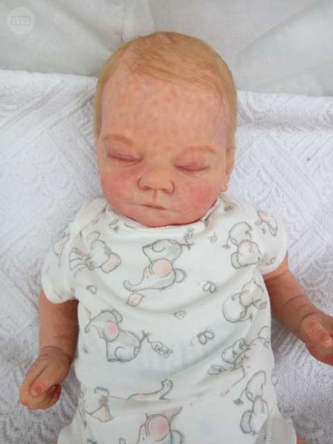 david reborn