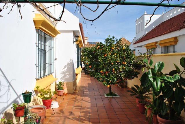 MIL ANUNCIOS.COM - Centro Colibrí 17 en Punta Umbria