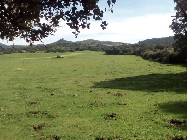 Mil Anuncios Com Finca Ganado Bravo Segunda Mano Y Anuncios Clasificados