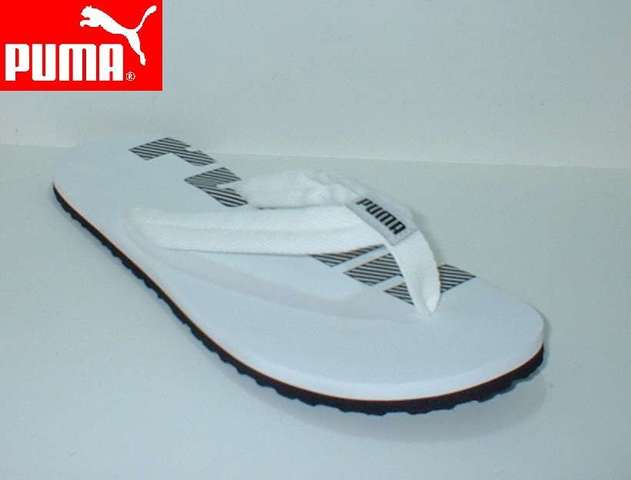 cholas puma hombre cholas puma hombre