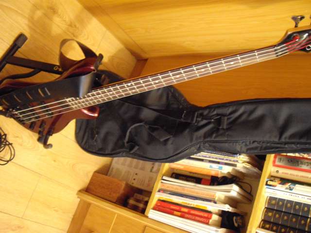 Vendo Bajo Samick Artist Series Koreano 5 cuerdas