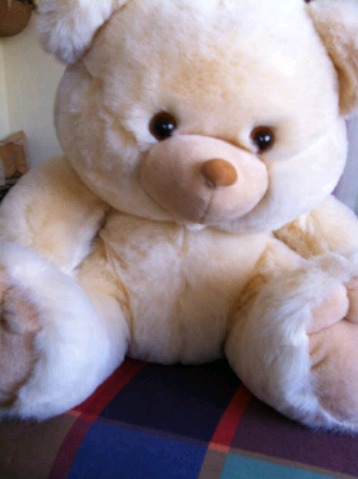 oso grande peluche
