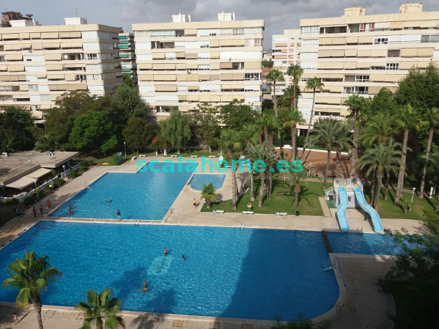 MIL ANUNCIOS.COM - Playa San Juan Urb. Garden Playa Av. Santander, 25