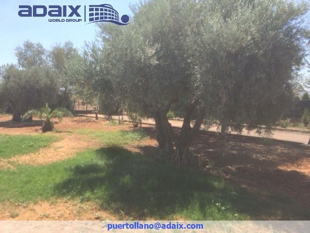 MIL ANUNCIOS.COM - Chalet venta argamasilla de calatrava en Argamasilla