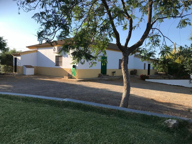 Mil Anuncios Com Finca Finca Valdelvira En La Puebla De Los Infantes