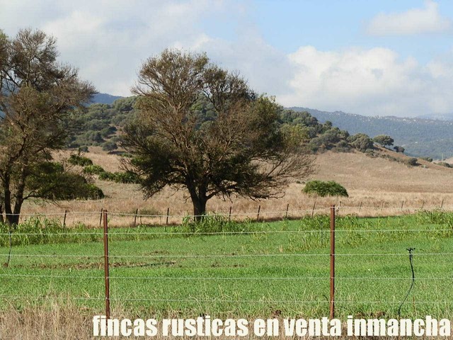 Mil Anuncios Com Ganado Compra Venta De Fincas Rústicas Ganado En Cádiz Sin Intermediarios
