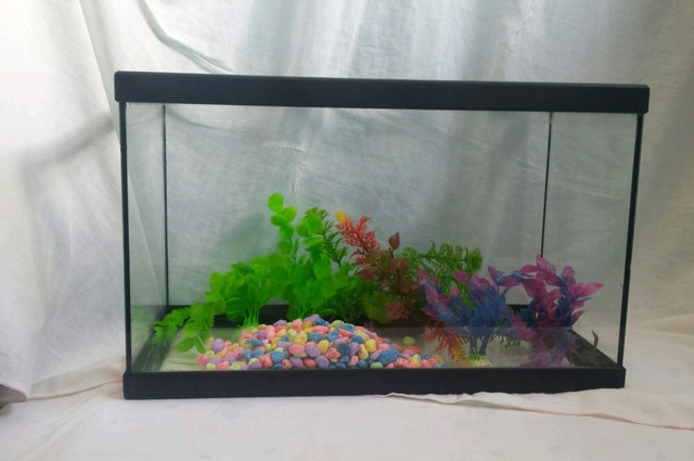 Como Hacer Un Terrario En Una Pecera Rectangular