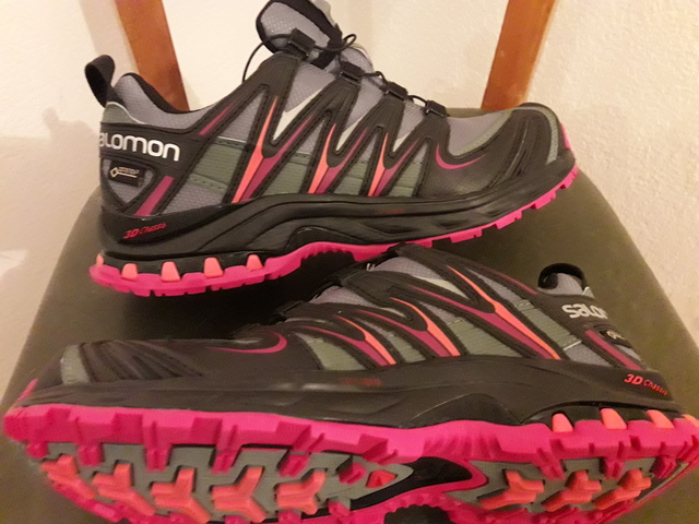 salomon 3d gtx