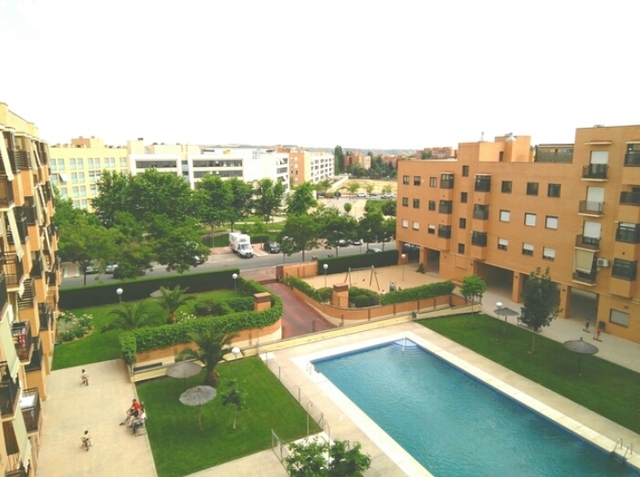 MIL ANUNCIOS.COM - Mancha amarilla, soto del henares, Torrejon de ardoz