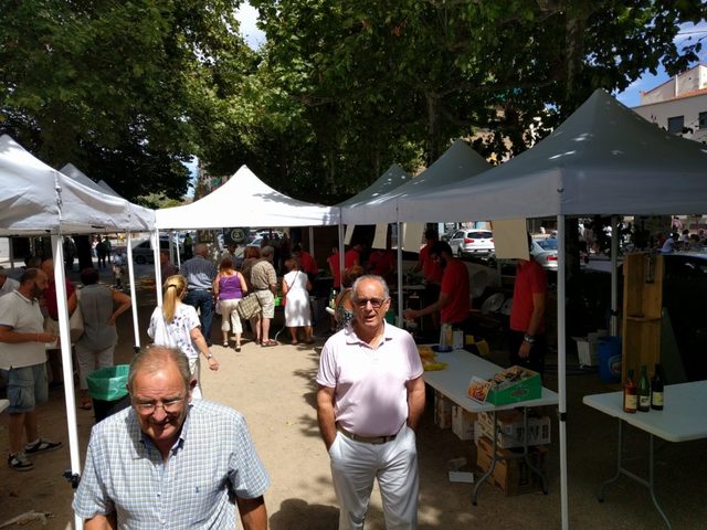 Carpas plegables en valencia