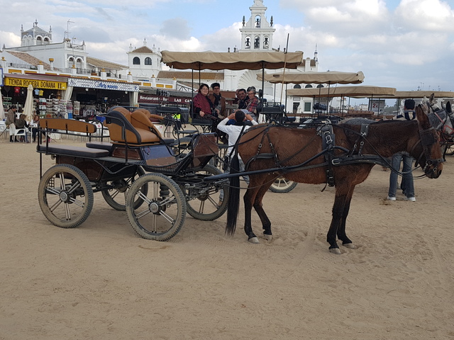 MIL ANUNCIOS.COM - Alquiler de coche de caballo el rocio