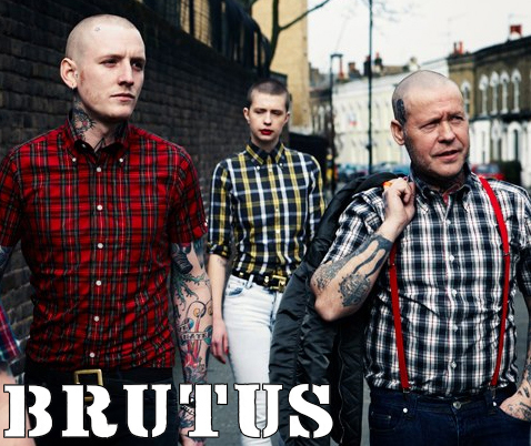 MIL ANUNCIOS.COM Camisa buttondown BRUTUS escocesa MIL ANUNCIOS.COM Camisa buttondown BRUTUS escocesa