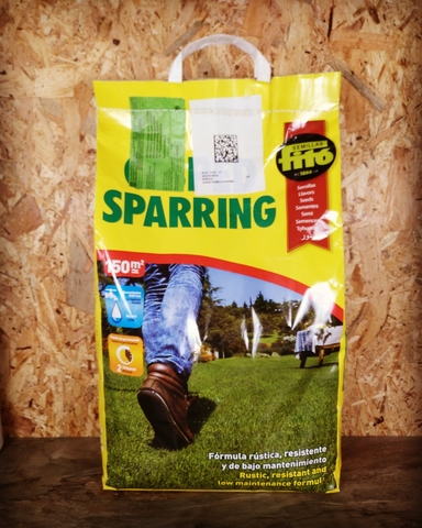fuerte SEMILLAS CESPED Sparring compacto resistente 1 Kg est/ético y de r/ápida instalaci/ón en el terreno. C/ésped de amplico espectro