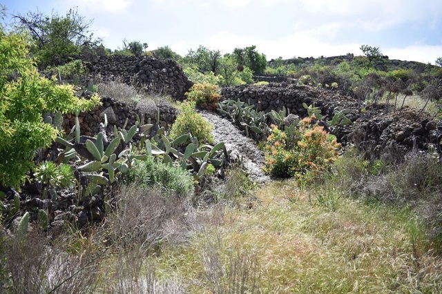 MIL Guía de Isora en Guia de Isora