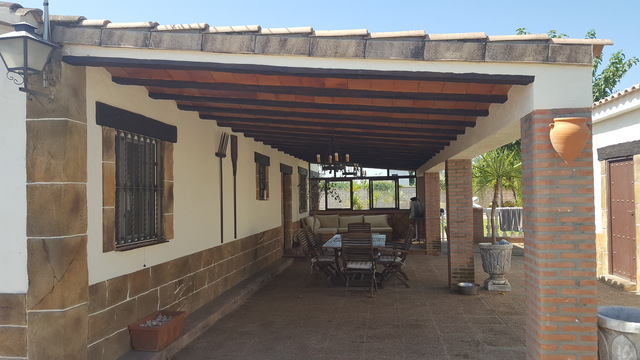 MIL ANUNCIOS.COM - Pinos del Nevero en Alcala de Guadaira