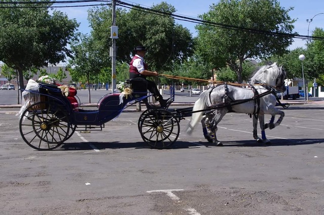 MIL ANUNCIOS.COM - Carruajes en alquiler coche de caballos