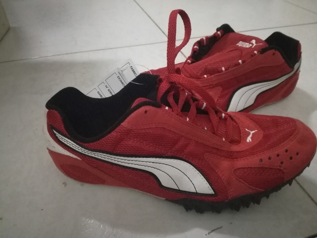 clavos puma