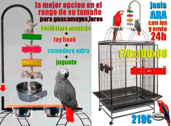 Como Hacer Una Jaula Para Guacamayos