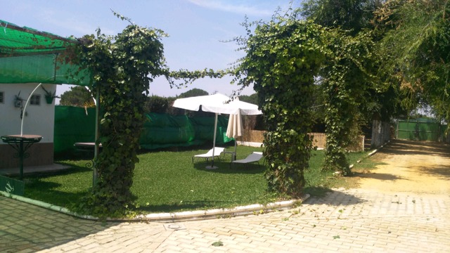 MIL Campo alquiler en Los Palacios y