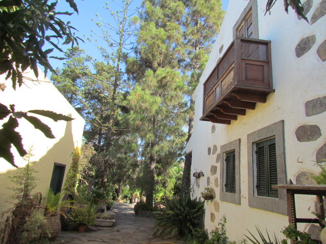 MIL ANUNCIOS.COM - San Mateo (Las palmas de gran canarias) EL MADROÑAL