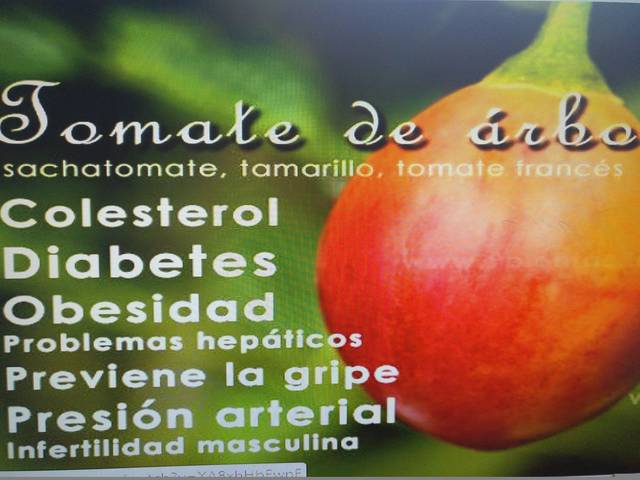 el tomate de arbol y la diabetes el tomate de arbol y la diabetes