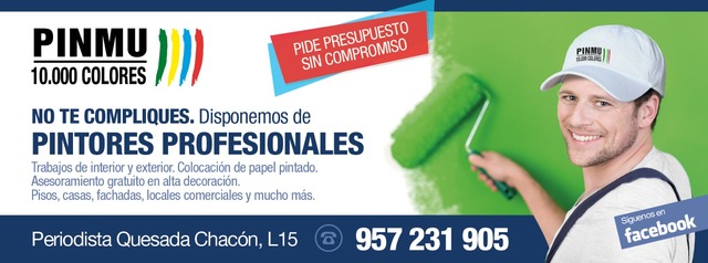 Milanuncios - Pintores profesionales