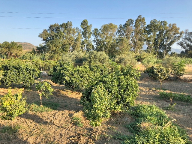 MIL ANUNCIOS.COM - Casa de Campo con terreno en Cartama