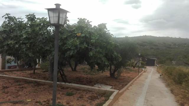 MIL ANUNCIOS.COM - Les Canyaes Zona Les Canyaes. Monserrat Valencia en