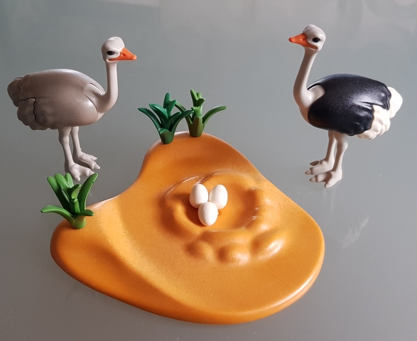 avestruz playmobil