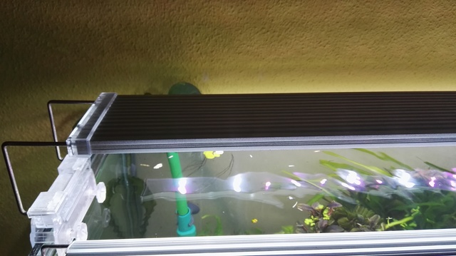 PANTALLA DE LUZ LED SUPERSLIM PARA ACUARIO 100-120CM LEDS BLANCOS