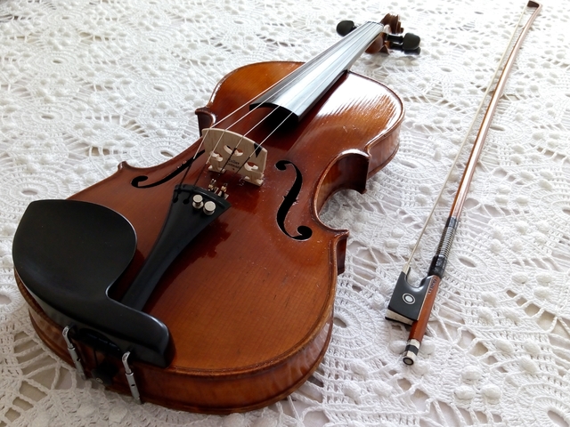 Resultado de imagen de violin