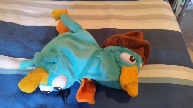 perry el ornitorrinco peluche