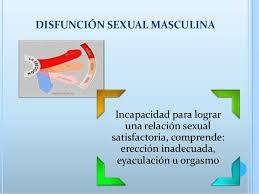 erección retráctil de beppo