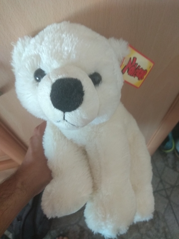 oso polar peluche